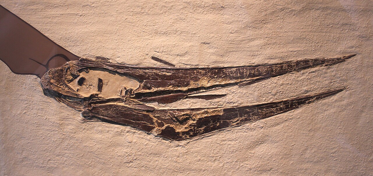 Reptiles of the Mesozoic